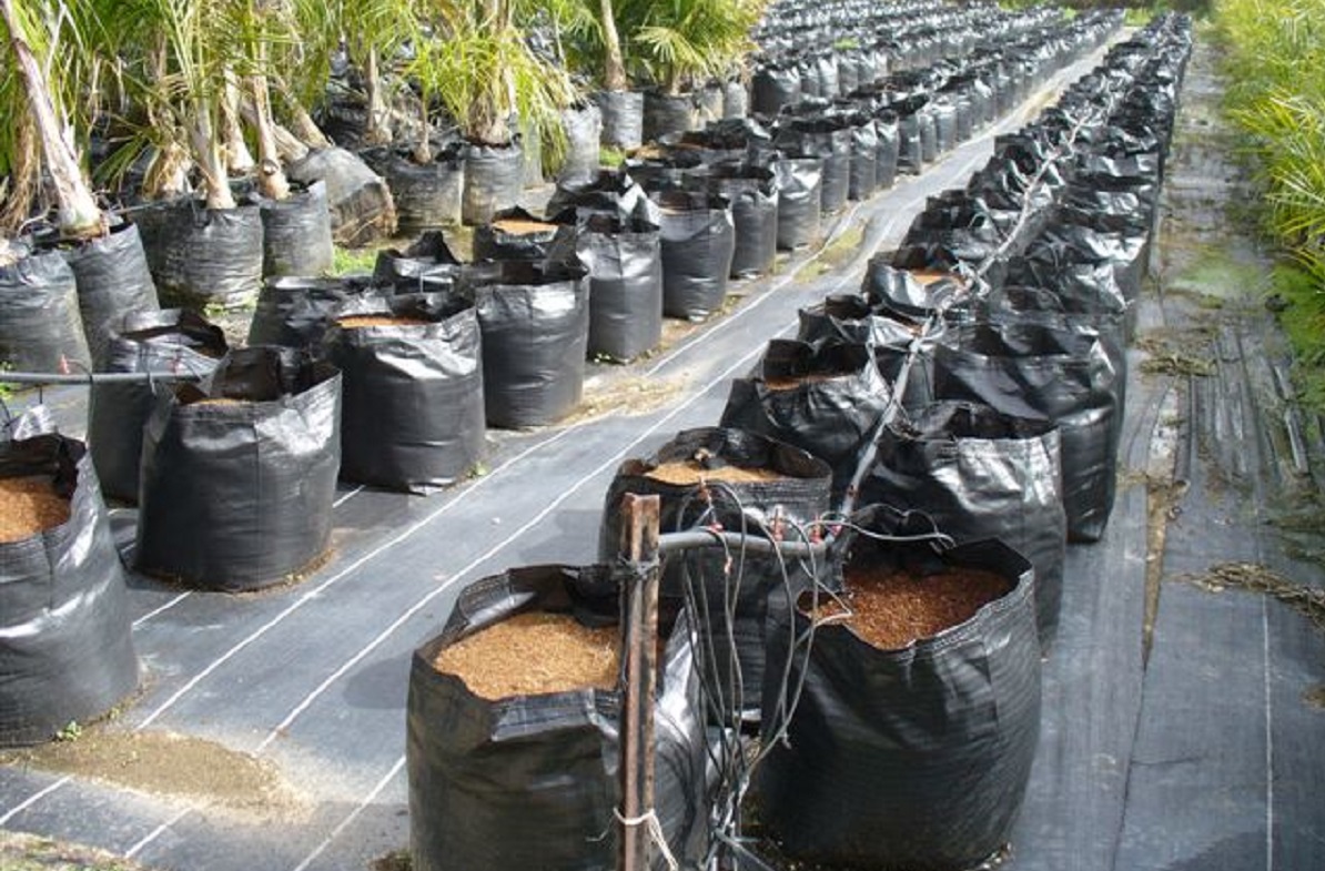 Grow Bags in Use 2